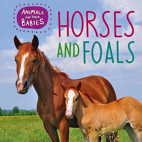 Animals and their Babies: Horses & foals