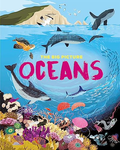 The Big Picture: Oceans