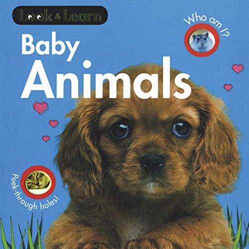 Baby Animals Board Book