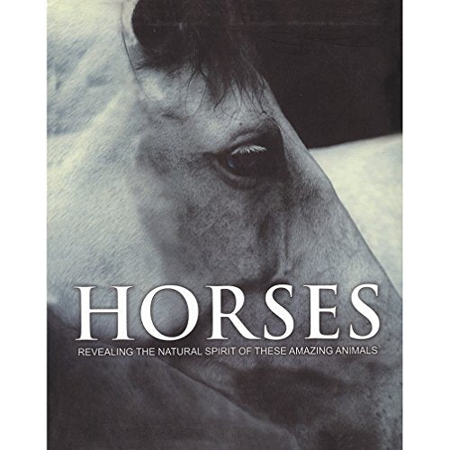 Spirit of Horses