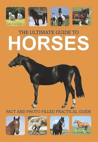 The Ultimate Guide to Horses