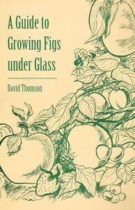 A Guide to Growing Figs Under Glass 