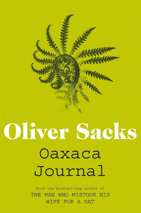 Oaxaca Journal 