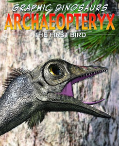 Archaeopteryx 