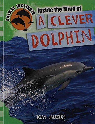 Inside the Mind of a Clever Dolphin