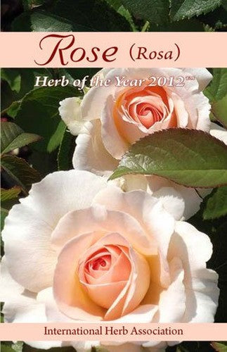 Rose Rosa Herb of the Year