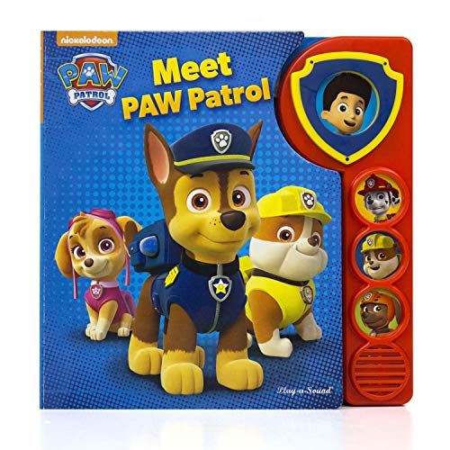 PAW Patrol Custom Frame