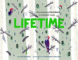 Lifetime