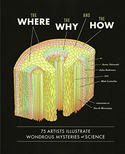 The Where Why, and the How