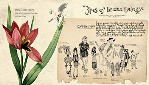 The Land of Stone Flowers