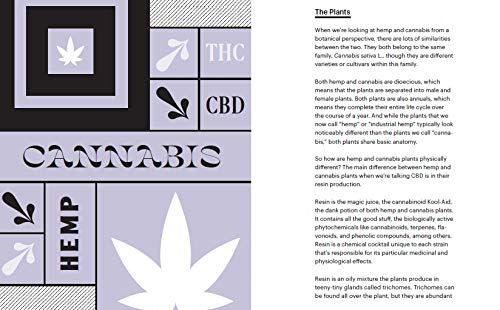 Merry Jane's The CBD Solution: Wellness