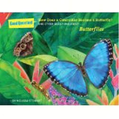 How Does a Caterpillar Become a Butterfly?