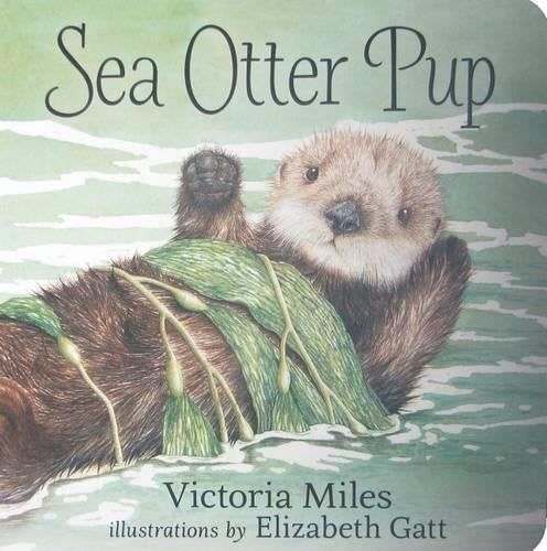 Sea Otter Pup