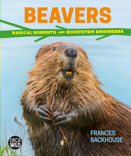 Beavers