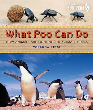 What Poo Can Do