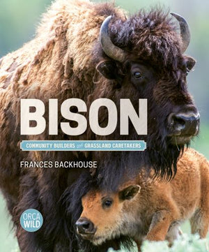 Bison