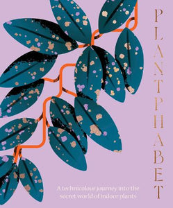 Plantphabet: A stunningly illustrated A-Z celebration of popular indoor plants, for fans of Plant Society, Leaf Supply and Plantopedia 