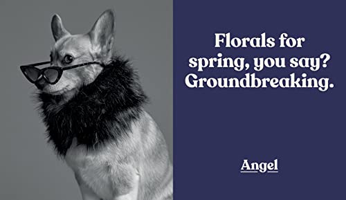 Well-Dressed Dogs: A celebration of canine couture, for fans of Menswear Dog, Tiny Gentle Asians and The Quokka's Guide to Happiness