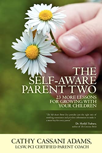 The Self-Aware Parent Two