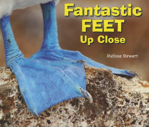 Fantastic Feet Up Close