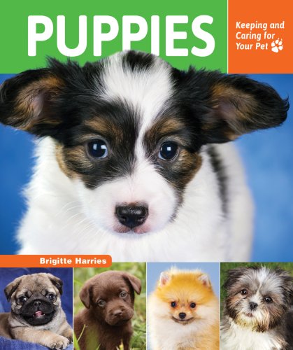Puppies