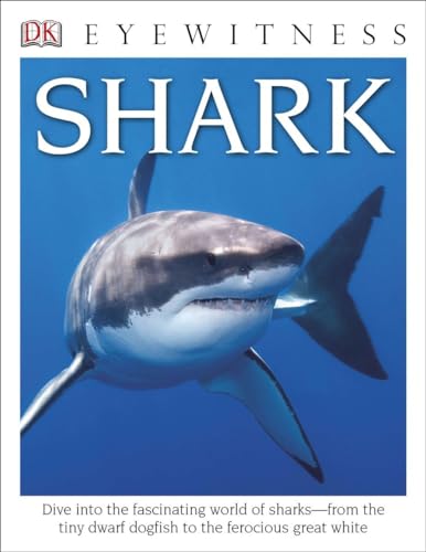 Eyewitness Shark