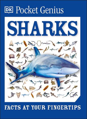 Pocket Genius Sharks