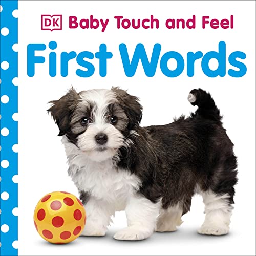 Baby Touch and Feel First Words