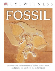 DK Eyewitness Books: Fossil (Library Edition) 