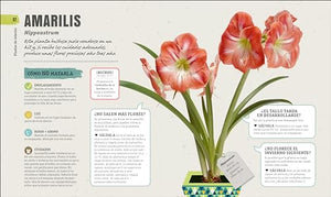 Como no matar tus plantas (How Not to Kill Your Houseplant) 