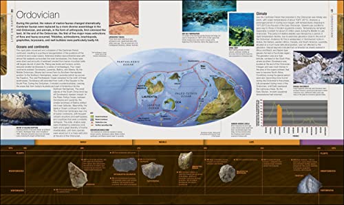 Dinosaurs and Prehistoric Life