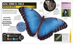 Super Insectos (Super Bug Encyclopedia) 