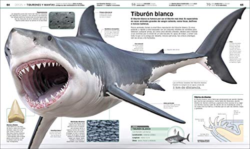 Animales (Knowledge Encyclopedia Animal!)