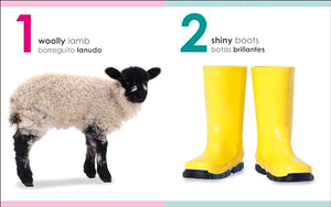 My First Bilingual 123 