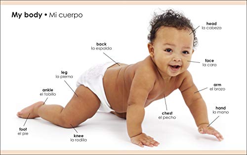 My First Bilingual Body