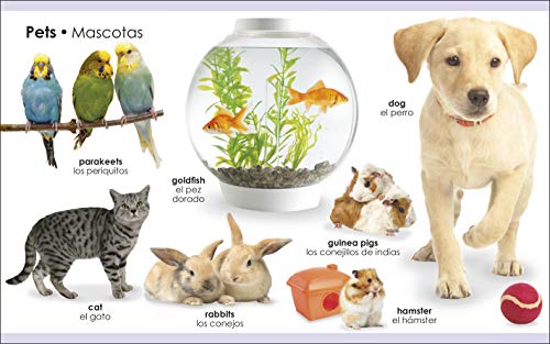 My First Bilingual Animals