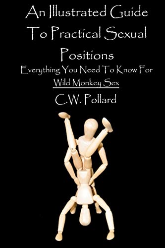 An Illustrated Guide To Practical Sexual Positions