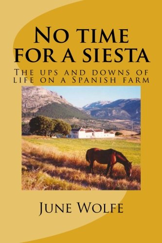 No time for a siesta (Volume 1)