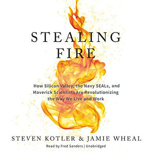 Stealing Fire 