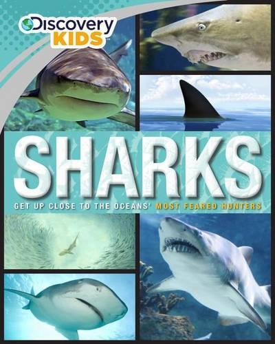 Discovery Kids Sharks