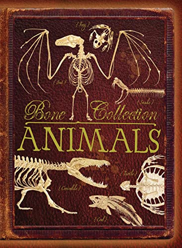 Bone Collection: Animals