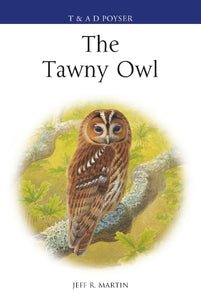The Tawny Owl 