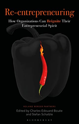 Re-Entrepreneuring
