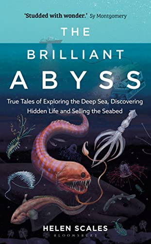 The Brilliant Abyss