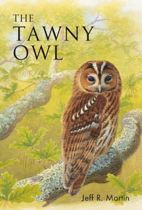 The Tawny Owl 