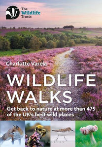 Wildlife Walks 