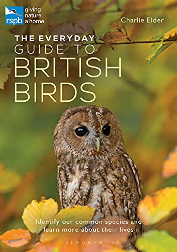The Everyday Guide to British Birds