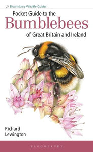 Pocket Guide to the Bumblebees of Great Britain and Ireland 