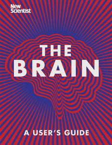 The Brain 