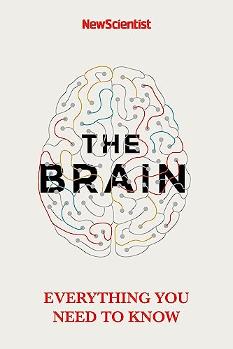 The Brain